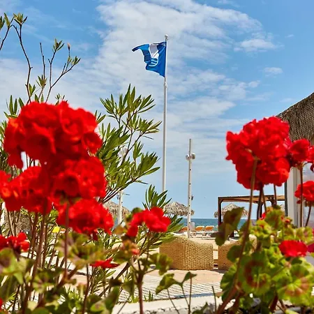 Apartment Bora Bora Boutik Cytadell Eforie Nord